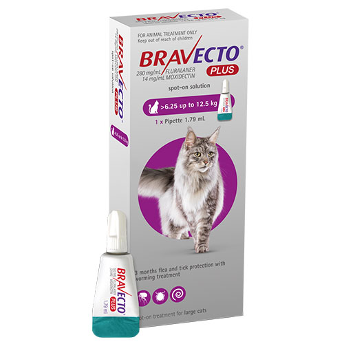 Bravecto Plus for Cat Flea & Tick Control treatment discount prices