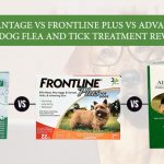 Fleas and ticks treatment