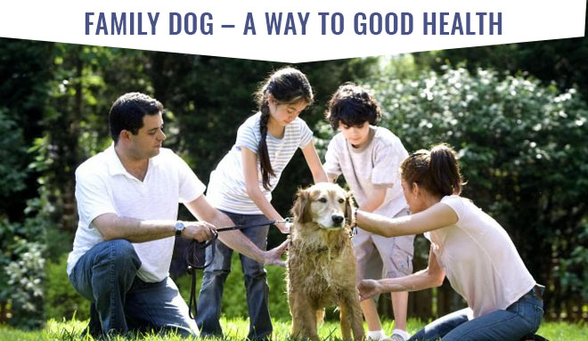 Family dog