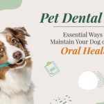 Pet Dental Care: Essential Ways to Maintain Your Dog or Cat's Oral Health