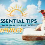 8 Essential Tips to Prepare Your Pet for Summer