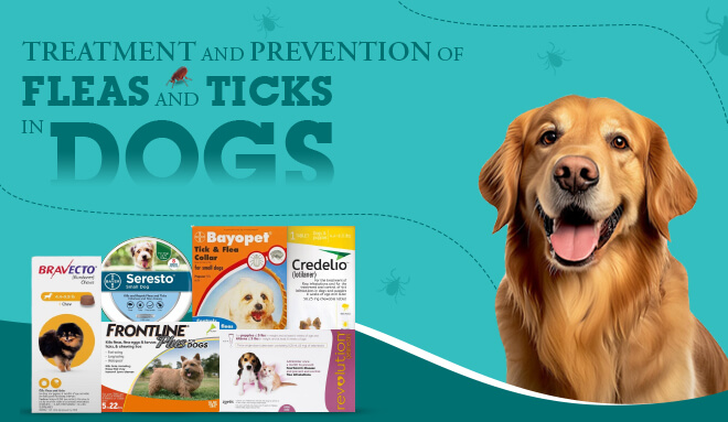 discpuntpetcare_treatment_and_prevention_of_fleas_and_ticks_in_dog