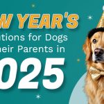 New Year's Resolutions-for-dog-and-their=parents-from-discountpetcare