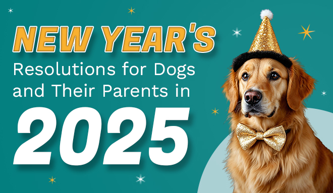 New Year's Resolutions-for-dog-and-their=parents-from-discountpetcare