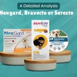 NexGard vs Bravecto Vs Seresto