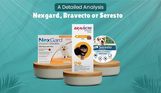 Nexgard, Bravecto, or Seresto – A Detailed Analysis