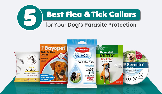 thumbnail image 2 of Keep Your Pup Pest-Free: Long-Lasting Flea & Tick Collar With Fly Defense 2 of 6