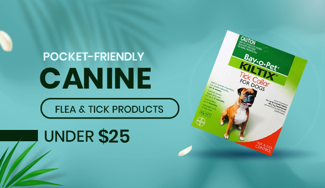 Pocket-Friendly Canine Flea Control Products Under $25