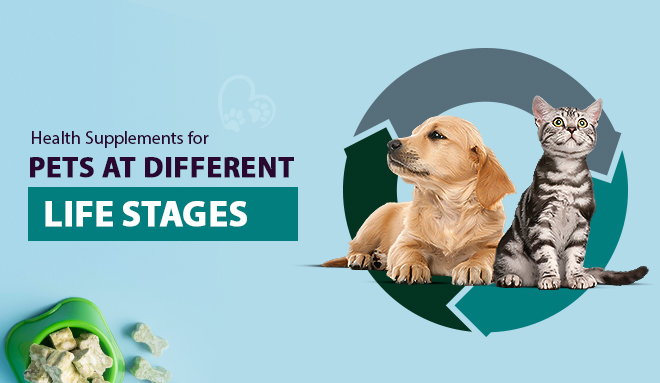 Health Supplements for Pets at Different Life Stages