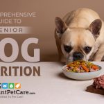 Senior Dog Diet