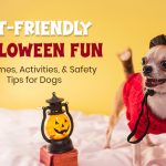 Tips For Pet-friendly Halloween