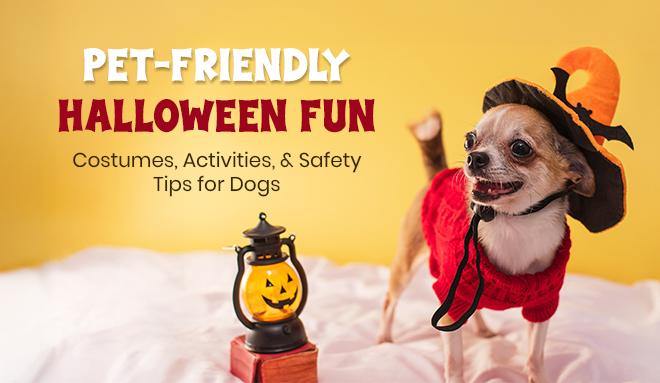 Tips For Pet-friendly Halloween