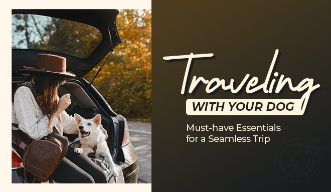 dog road trip essentials