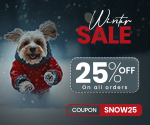 Winter Sale