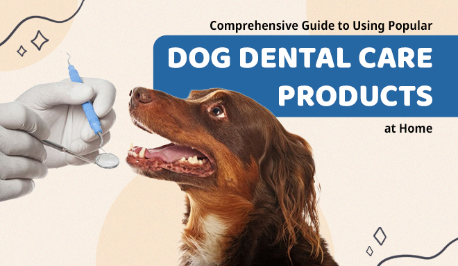 How to Use Dog Dental Care Products at Home – Complete Guide