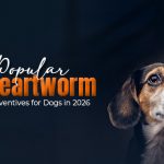 Heartworm Preventives for Dogs