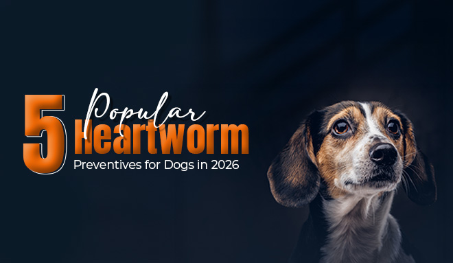 Heartworm Preventives for Dogs