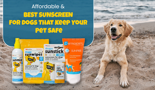 Sunscreen for dogs