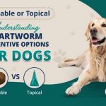 DPC Blog Chewable or Topical