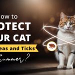 Flea and Tick prevention for Cats
