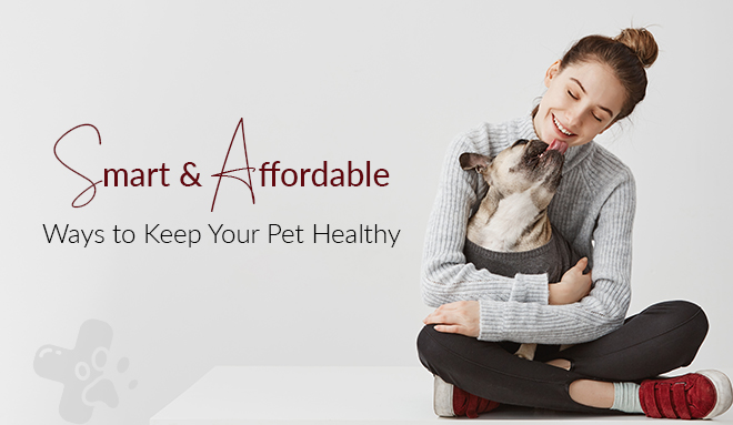 Smart & Affordable Ways to Keep Your Pet Healthy  