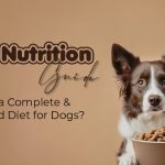 Dog Nutrition Guide