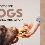 human foods dogs can eat
