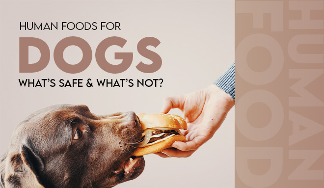 Human Foods Dogs Can Eat: Safe &amp; Toxic Foods Guide