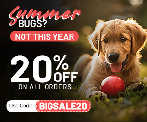 Summer Sale 2026