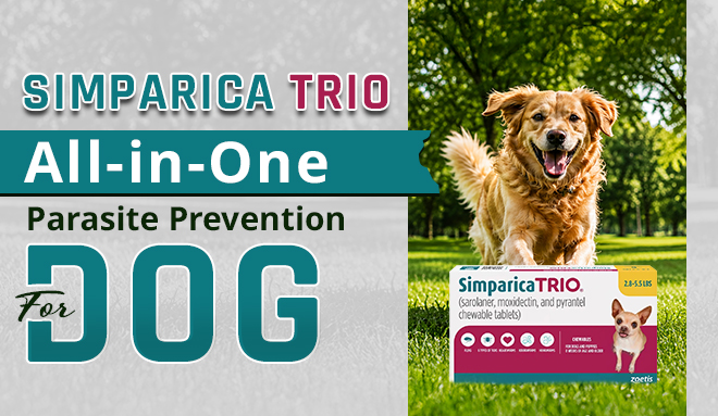 Simparica Trio Chewable Tablets for Dogs: Everything You Need to Know