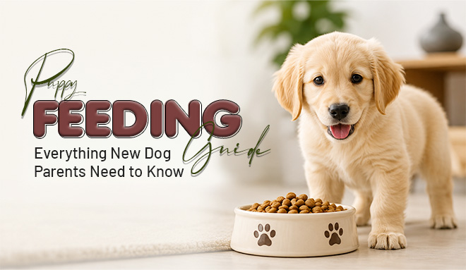 Puppy Feeding Guide: Everything New Dog Parents Need to Know
