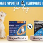 NexGard Spectra vs. Heartgard Plus for Dogs: A Complete Comparison