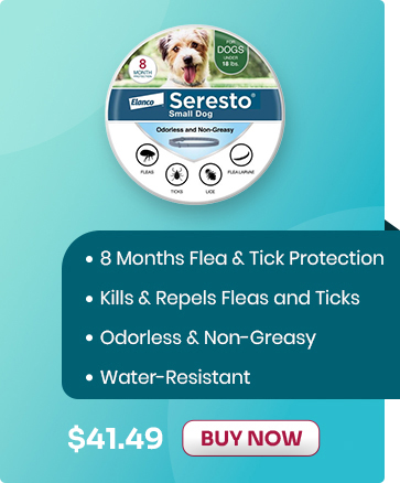 Sale Banner