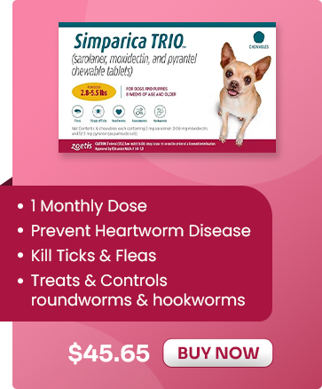 Sale Banner