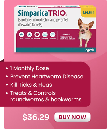 Sale Banner