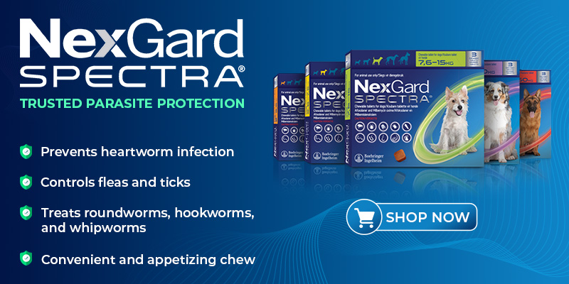 Nexgard Spectra Chewable Tablets for Dogs