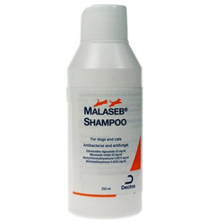 malaseb medicated shampoo for dogs