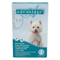 buy advantage for dogs
