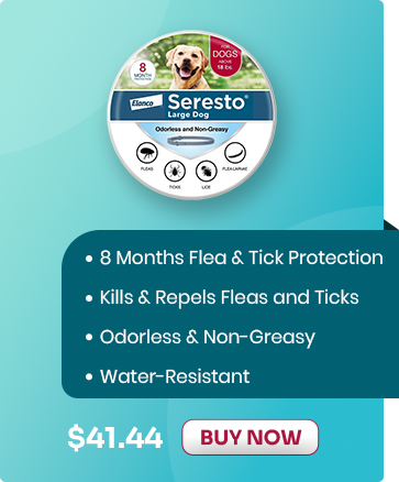 Sale Banner