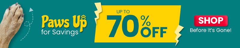 Sale Banner