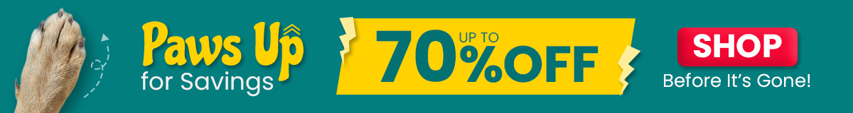 Sale Banner